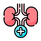 Nephrology
